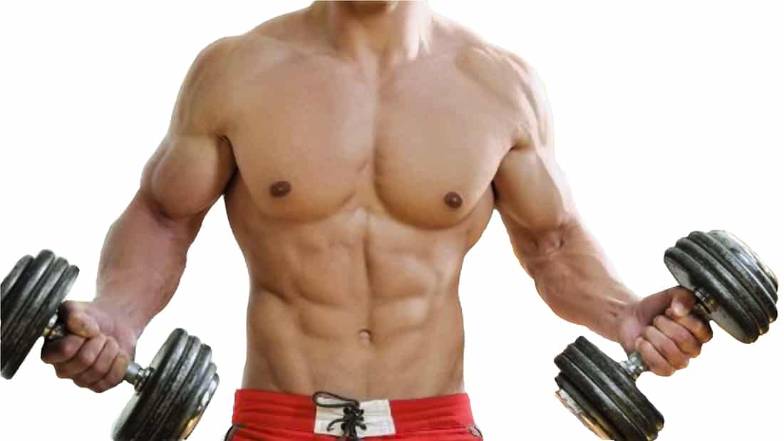 Es masa muscular que magra