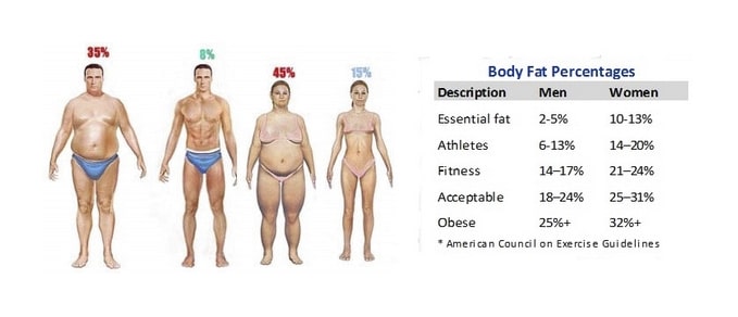 Перевести на русский bodies. Fat body. Fat percentage. Body fat percentage woman.
