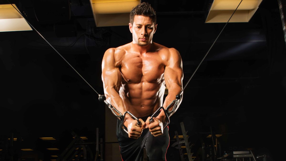 Entrenamiento pectorales nivel 2 Entrenamiento pectorales nivel 2