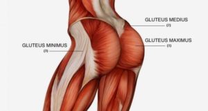 ejercicios de fuerza para el gluteo mayor