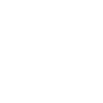 THE BOXER CLUB